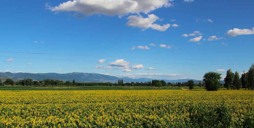 Farm stay Il Fienile Di Assisi Assisi